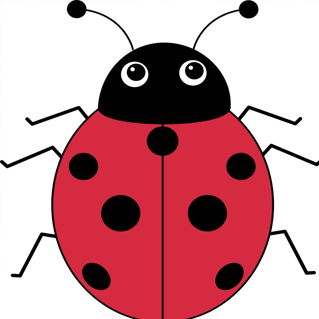 Beetle Drive Wigtown shindy 2026